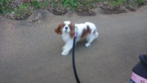 朝のお時間 2019/11/10