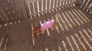 昼のお時間 2019/11/10