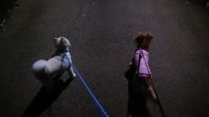 夜のお時間 2019/11/10