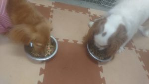 朝のお時間 2019/11/11