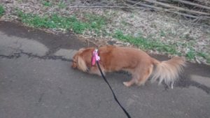 夜のお時間 2019/11/11