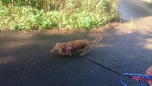 朝のお時間 2019/11/12