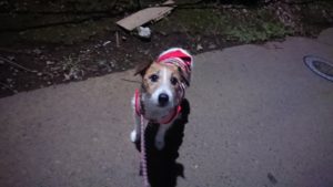 夜のお時間 2019/11/12