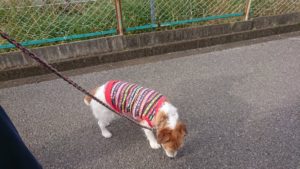 朝のお時間 2019/11/13