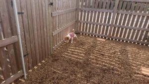 昼のお時間 2019/11/13