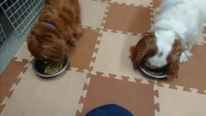 夜のお時間 2019/11/13