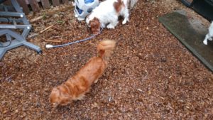 朝のお時間 2019/11/14