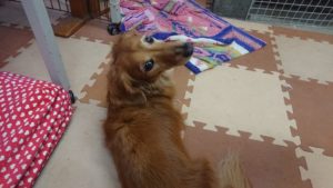 午後のお時間 2019/11/14