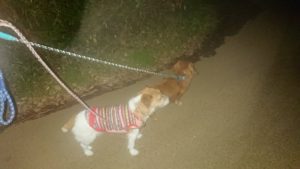 夜のお時間 2019/11/14