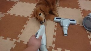 昼のお時間 2019/11/15