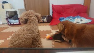 昼のお時間 2019/11/16