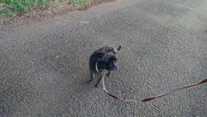 夜のお時間 2019/11/16