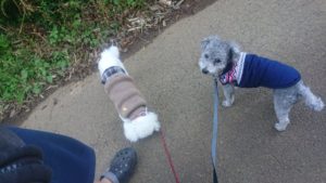 朝のお時間 2019/11/17