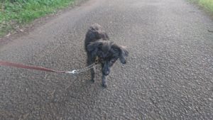 夜のお時間 2019/11/17