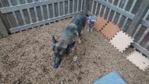 朝のお時間 2019/11/18