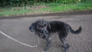 夜のお時間 2019/11/18