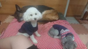 昼のお時間 2019/11/19