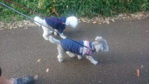 夜のお時間 2019/11/19