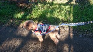 朝のお時間 2019/11/20