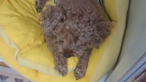 昼のお時間 2019/11/20