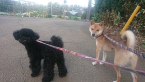 夜のお時間 2019/11/20