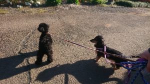 朝のお時間 2019/11/21