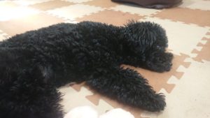 昼のお時間 2019/11/21