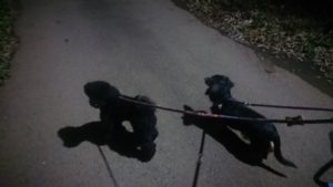 夜のお時間 2019/11/21