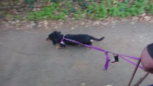 朝のお時間 2019/11/22