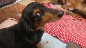 静かすぎる！ 2019/11/22