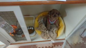 んー。  2019/11/22