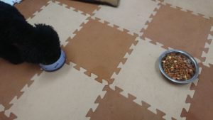 朝のお時間 2019/11/23