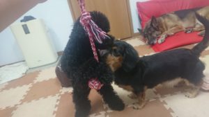 昼のお時間 2019/11/23