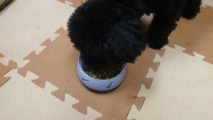 夜のお時間 2019/11/23