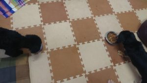 朝のお時間 2019/11/24