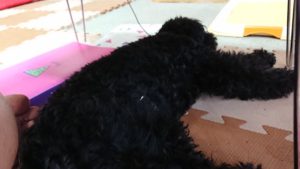 昼のお時間 2019/11/24