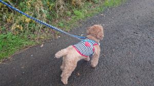 夜のお時間 2019/11/24