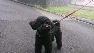 朝のお時間 2019/11/25