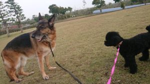 夜のお時間 2019/11/25