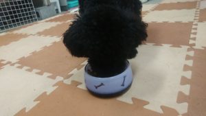 朝のお時間 2019/11/26