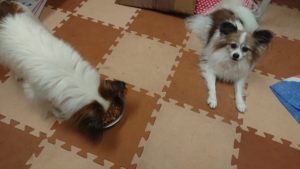 夜のお時間 2019/11/26