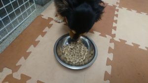 夜のお時間 2019/11/27