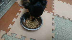 朝のお時間 2019/11/28