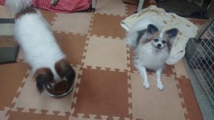 夜のお時間 2019/11/28