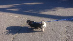 朝のお時間 2019/11/29