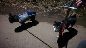 夜のお時間 2019/11/29