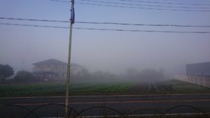 朝のお時間 2019/11/1