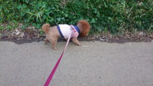 朝のお時間 2019/11/2