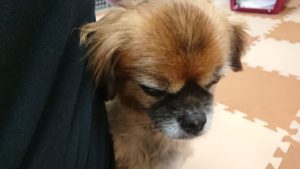 昼のお時間 2019/11/2