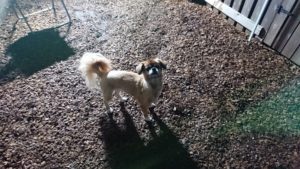 夜のお時間 2019/11/3